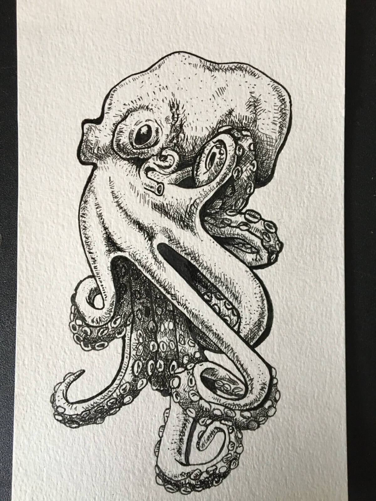 Octopus